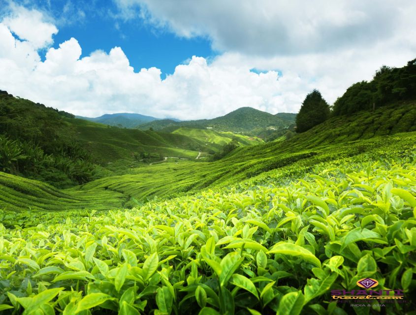 Sri Lanka: Kandy Private Day Tour With Pickup