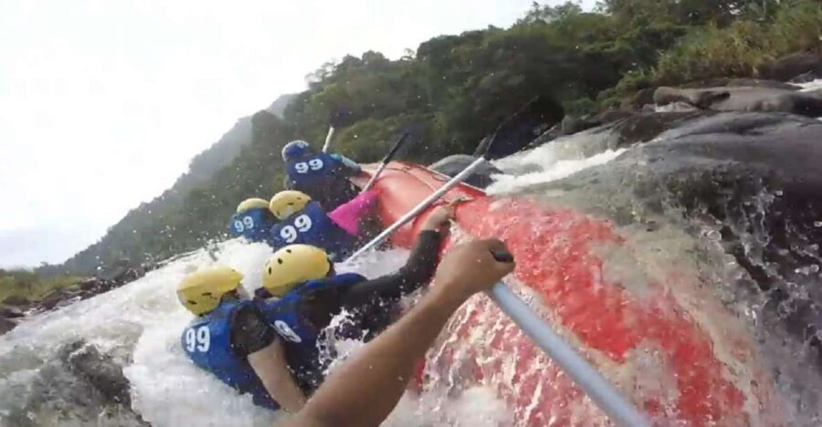 Sri Lanka Rainforest Trekking, Wildlife Safari, Water Sport - Tour Overview