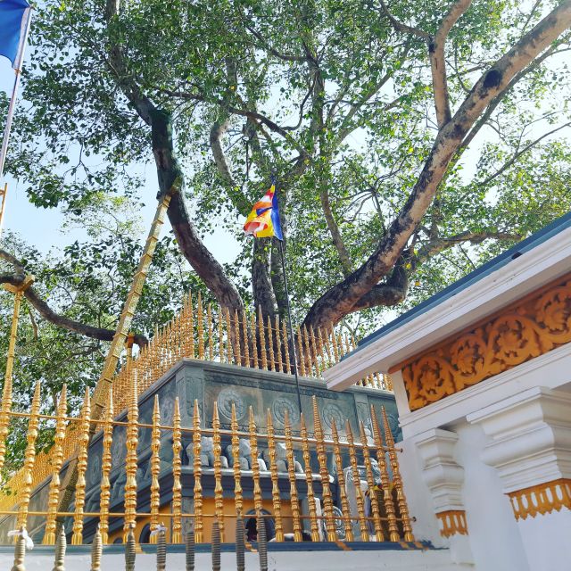 Sri Lanka Ten Days Historical Sightseeing Tour
