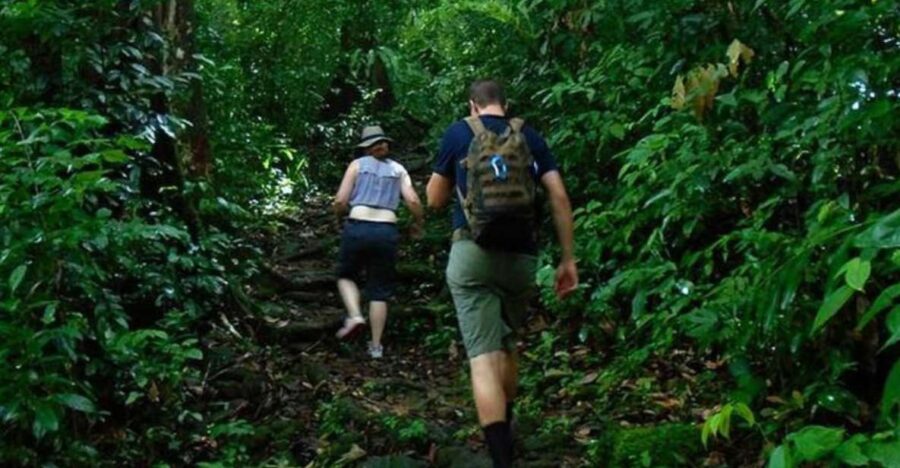 Sri Lankas Spectacular 7-Day Hideaway Experience - Immersive Accommodations