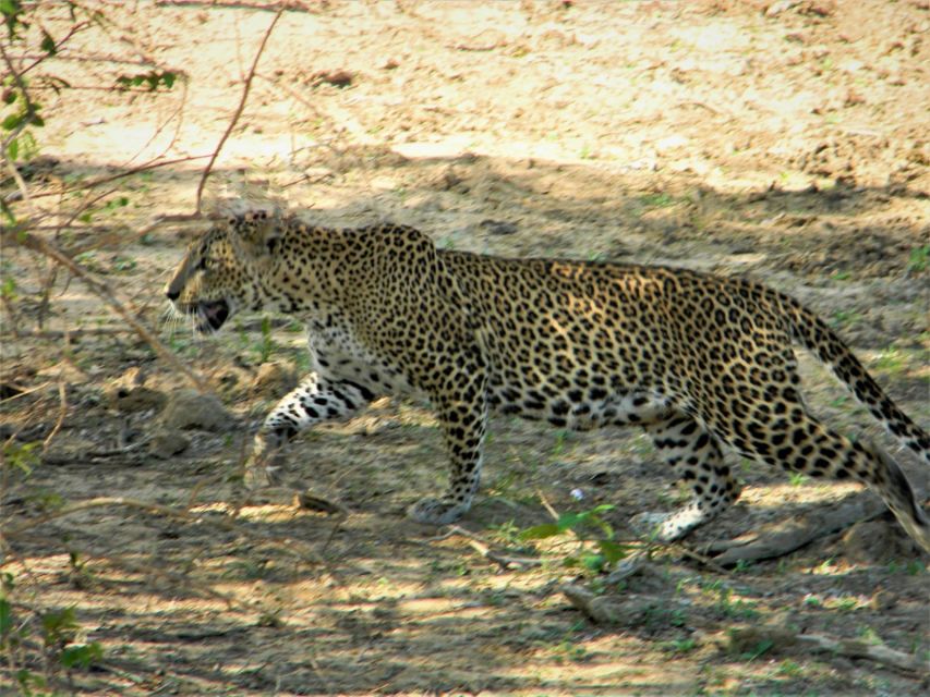 Srilanka - Discover Your Amazing Time With Expert Guide - Tour Overview and Pricing