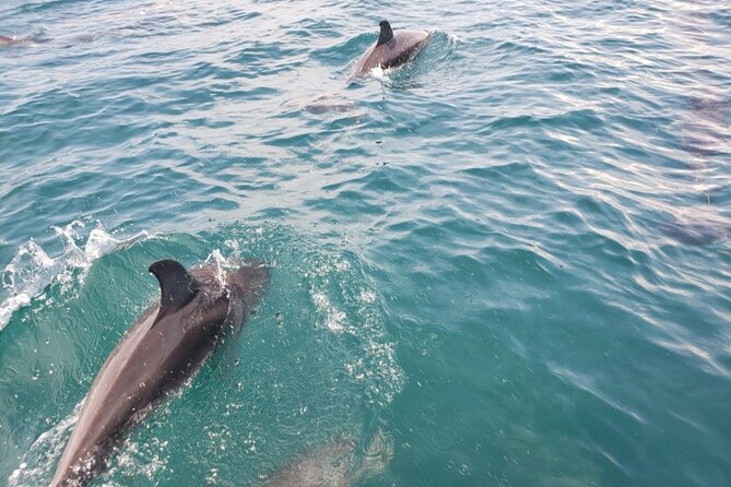 St. Augustine Private Boat Tour Daytime, up to 6 People