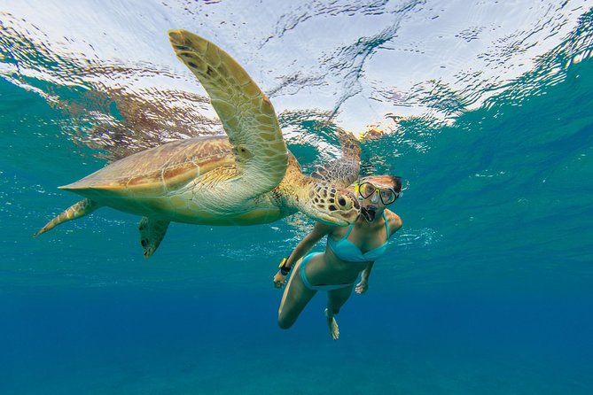 St John Snorkel & Beach Yacht Charter From American Yacht Harbor