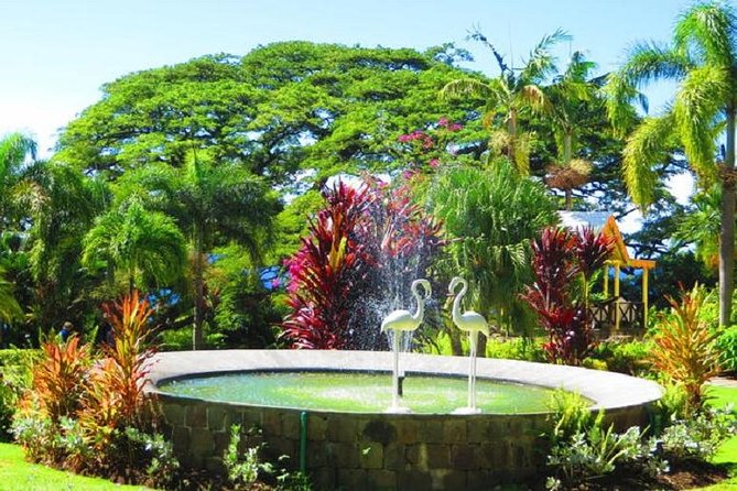 St Kitts Island Tour (Reconfirm Ship or Hotel)