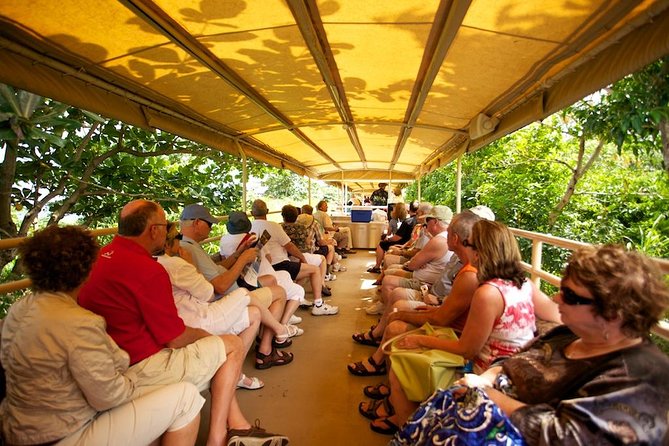 St Kitts Scenic Train Tour (Hotel or Ship)