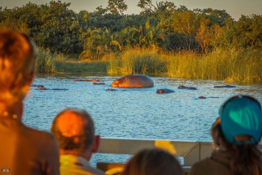 St Lucia: Hippo and Crocodile Cruise on a 15-Seat Vessel
