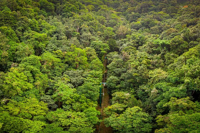 St Lucia Ultimate 3: Aerial Tram, Zipline and Hiking at Rainforest Adventures