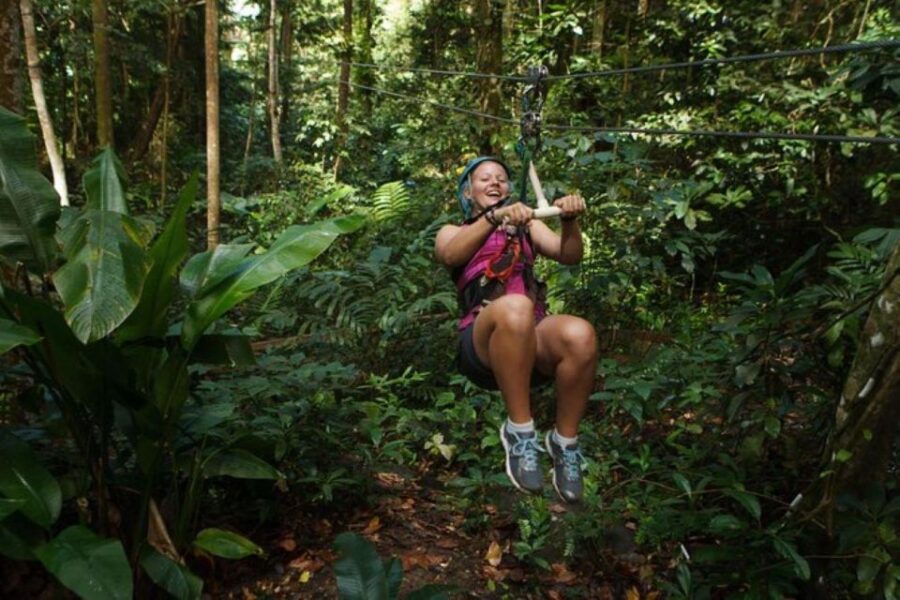 25 Best Tours In St Lucia