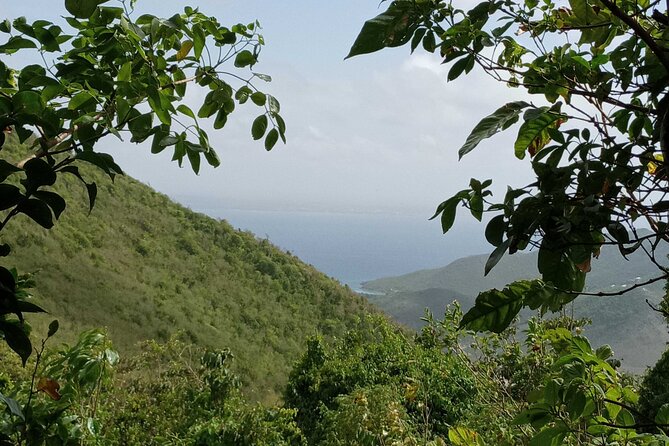 St.Martin - St. Maarten: Small Group, Coastal Hike & Swim Tour - Meeting and Pickup Details