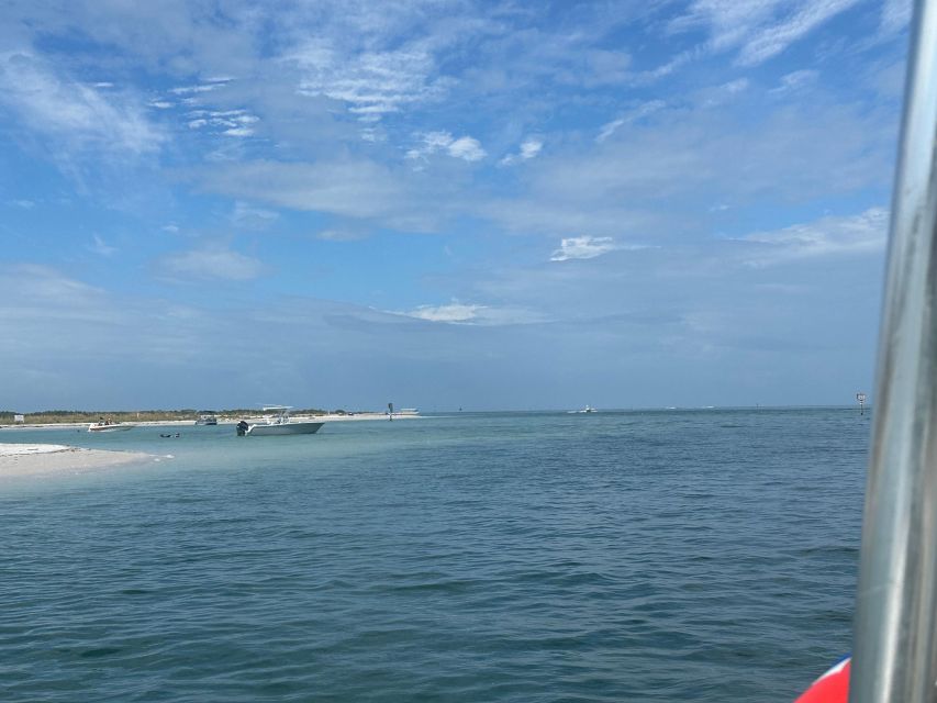 St Petersburg, FL: 3 Hour Islands Hopping Eco Tour