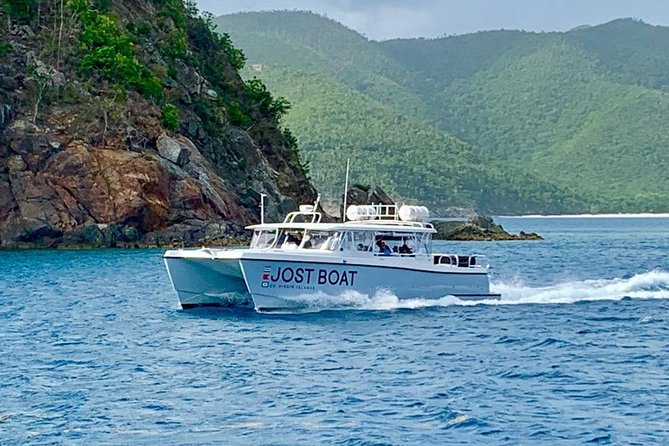 St. Thomas Lime Out Snorkel With Taco Bar Lunch & Swim-Up Bar - Ritz-Carlton