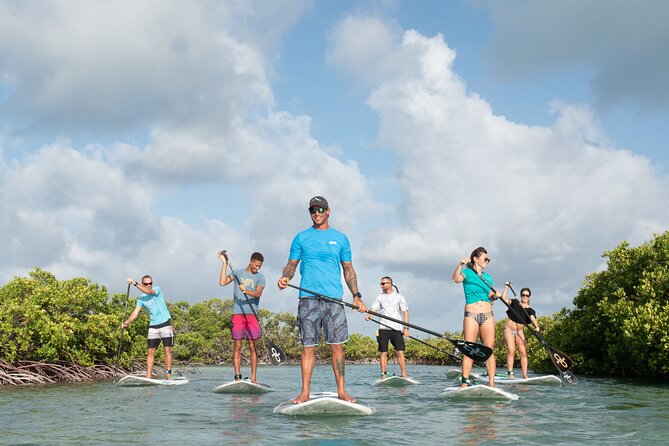 Stand up Paddleboard Eco Tour