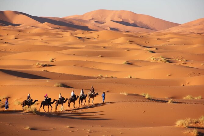 Standard Trip in 1 Night / 2 Days From Fez to Merzouga - Marrakech or Back With Same Transportation Fez