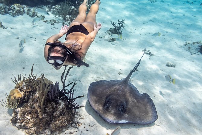 Starfish Point, Stingray City-Sandbar & Coral Gardens - Inclusions and Requirements