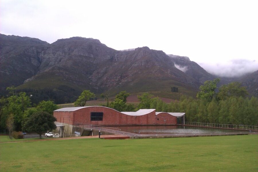 Stellenbosch: Daily Diffirent Small Group Full Day Wine Tour