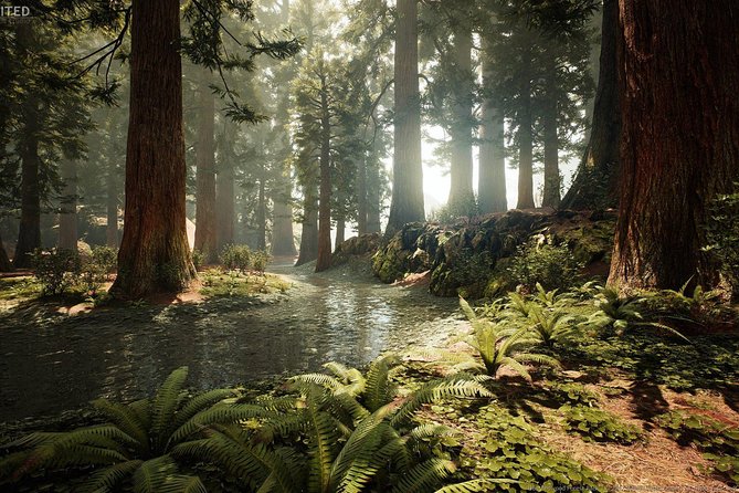 [Stevong] Blue Springs, Redwood Forest, Huka Falls Private Tour