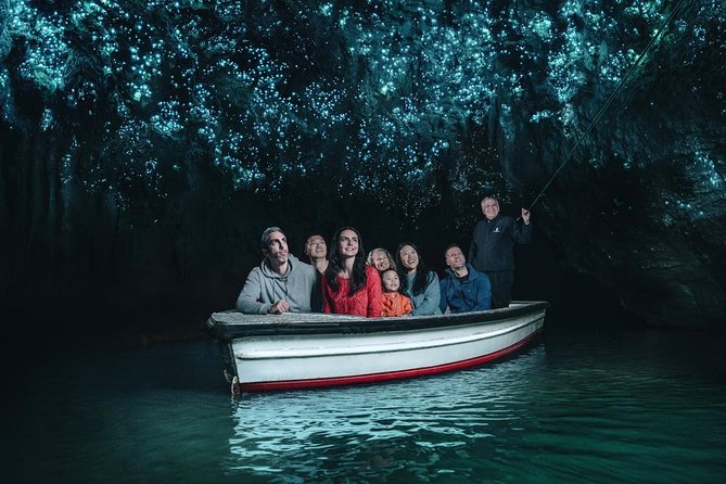 [Stevong] Hobbiton Movie Set Tour & Glowworm Cave Day Tour