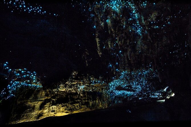 [Stevong Travel] 12-Hour LOTR Trollshaws & Waitomo Glowworm Tour