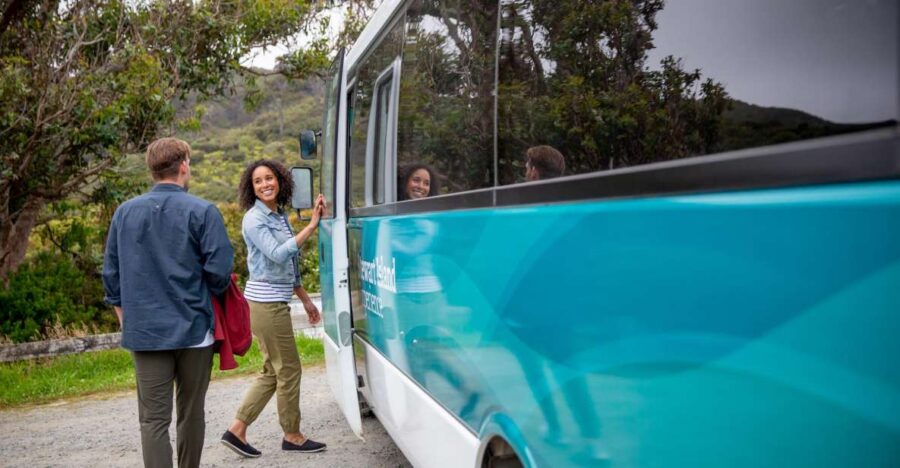 Best Tours In Stewart Island