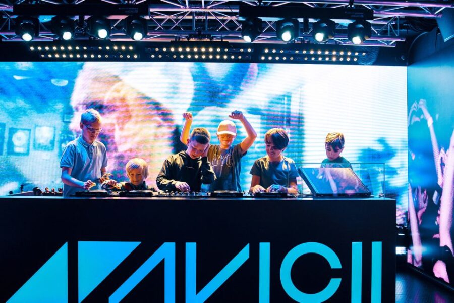 Stockholm: Avicii Experience Skip-the-Line Entrance Ticket - Ticket Information