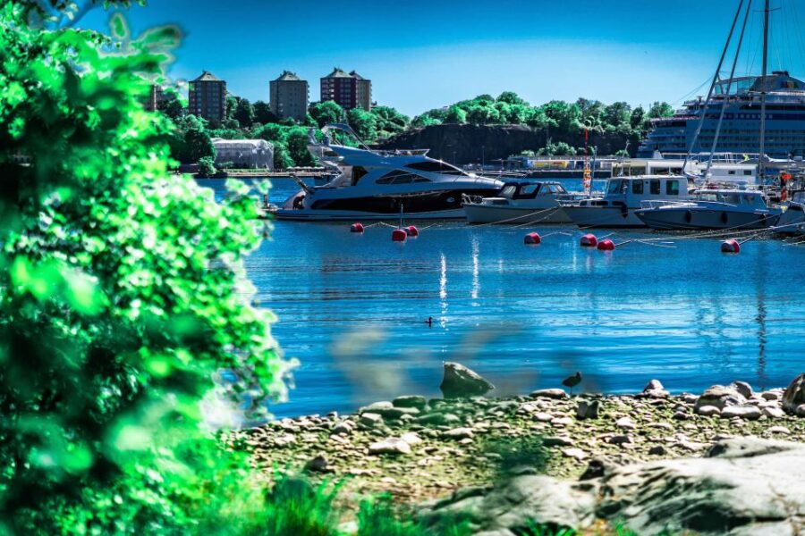 Stockholm: Delightful Djurgården Private Walking Tour