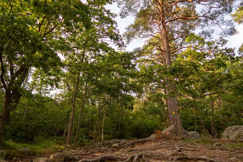 Stockholms Nacka Nature Reserve: 3-hour Hike for Beginners - Activity Overview