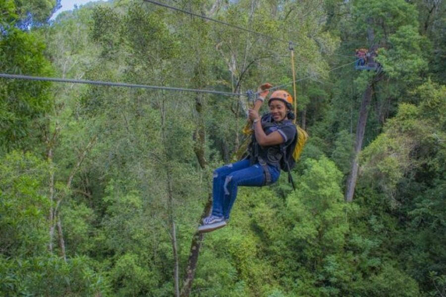 3 Best National Park Tours In Tsitsikamma National Park