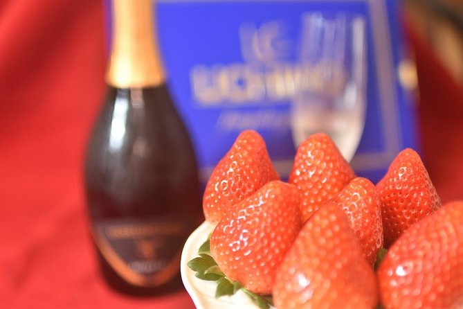 Strawberry Picking and Snow Experience at Mt Fuji Ski Resort for VIP - Exploring Tokyos Premier VIP Experience