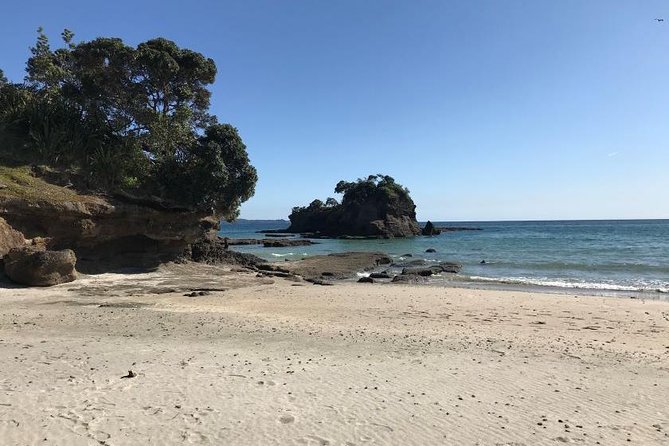 Stunning Auckland East Coast Walk & Wine Private Tour