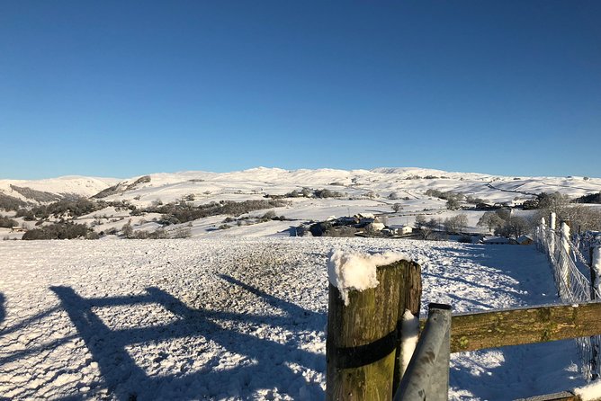 Stunning Lake District 4 Hour Tours!