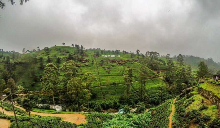 STUNNING SRI LANKA 15 DAYS & 14 NIGHTS TOUR
