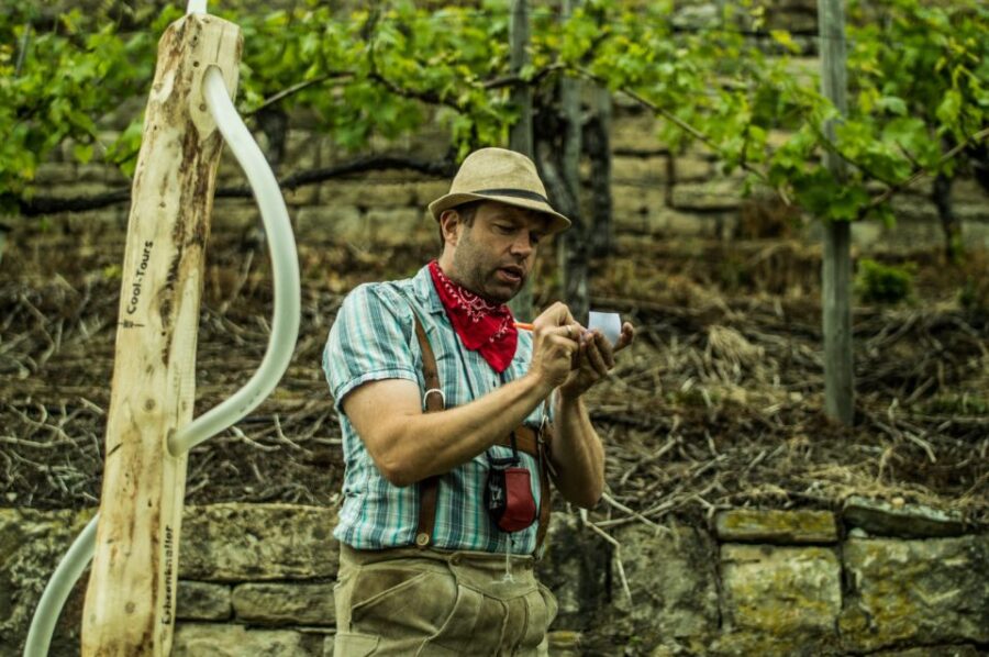 Stuttgart: Guided Vineyards Tour