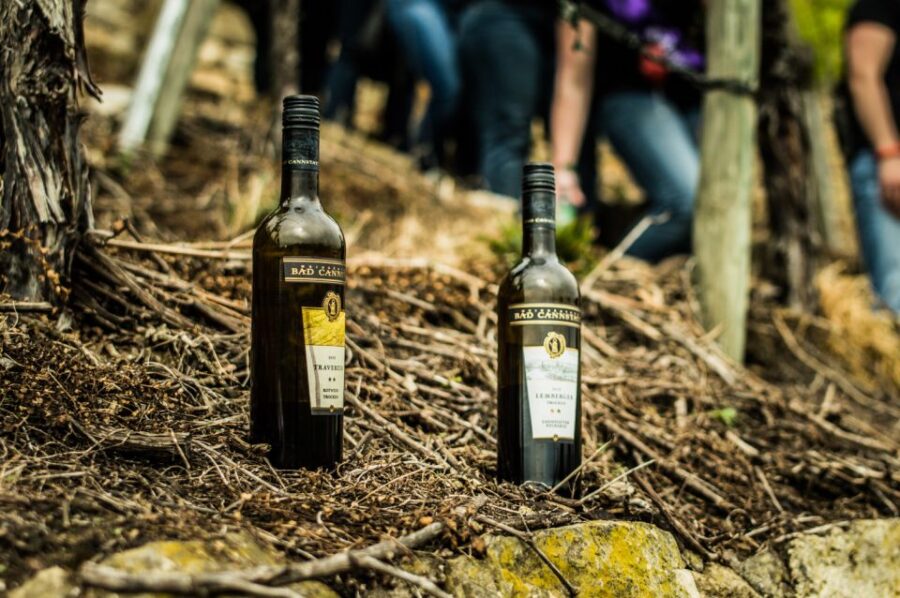 Stuttgart: Vineyard Tour by Covered Wagon