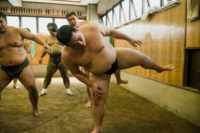 Sumo Training Session - Sumo Training Session Overview