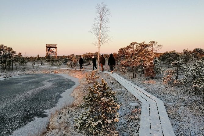 Sunrise at Kemeri National Park + Jurmala - Tour Overview