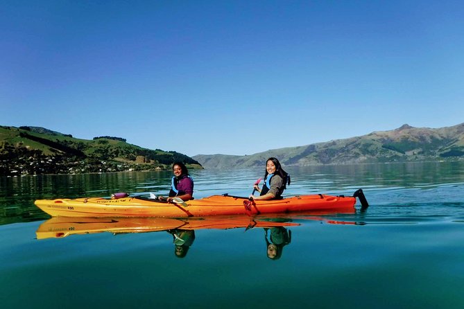 Sunrise Wildlife Sea Kayaking in Akaroa Marine Reserve