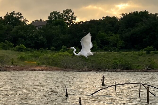 Sunset and Glow Guided Kayaking Tour Grapevine Lake - Tour Overview