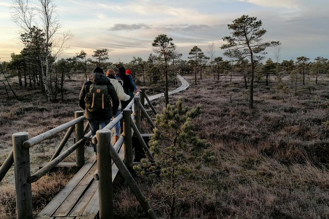 Sunset at Kemeri National Park - Overview of the Experience