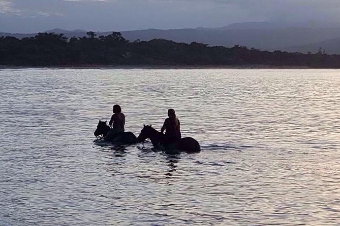Sunset Beach Horseback Riding - Meeting and Pickup Information