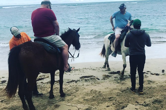 Sunset Beach Horsebackriding Punta Cana - Horseback Riding Experience