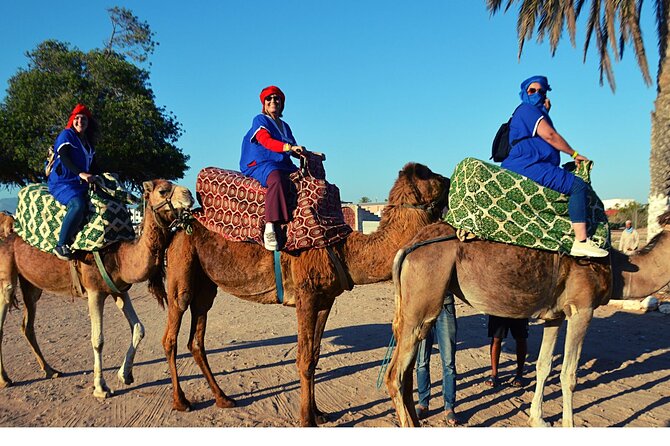 Sunset Camel Ride and Barbecue Dinner in Agadir