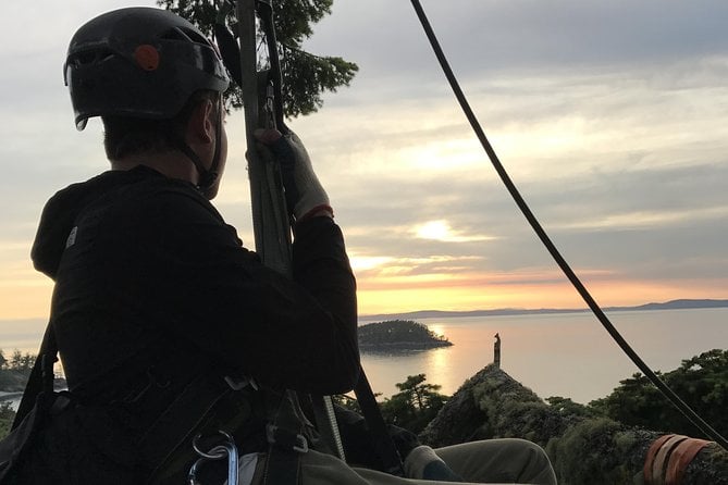 Sunset Canopy Climb on Lopez Island - Overview of the Experience