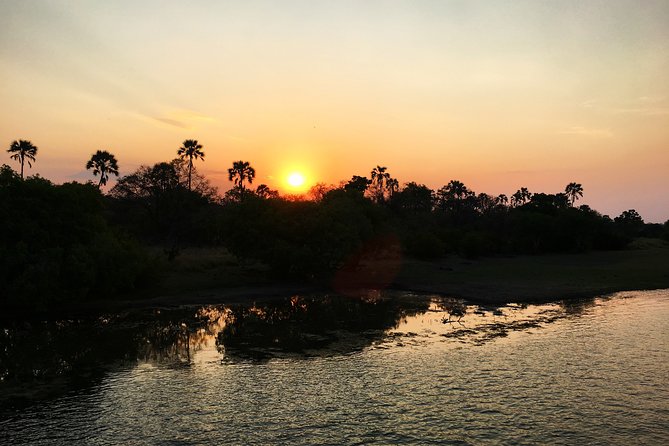 Sunset Cruise Wildlife Watching Experience at Zambezi River