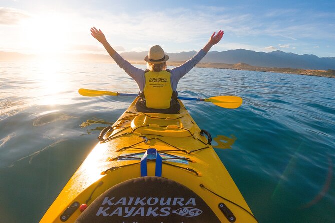 Sunset Evening Kayaking Tour – Kaikoura