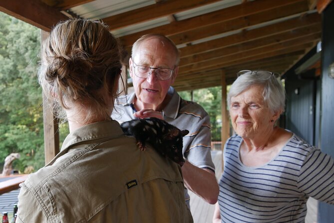 Sunset Experience - Meet the Tasmanian Devils