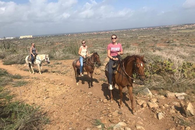 Sunset Horseback Ride - Overview of the Experience