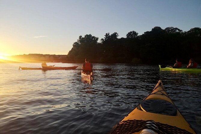 Sunset Kayak Tour in Central Stockholm and Swedish Fika