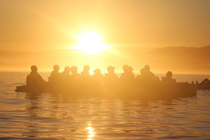 Sunset Kayak Tour in Kaikoura
