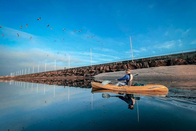 Sunset Kayak Tour of Santa Barbara With Knowledgeable Guide
