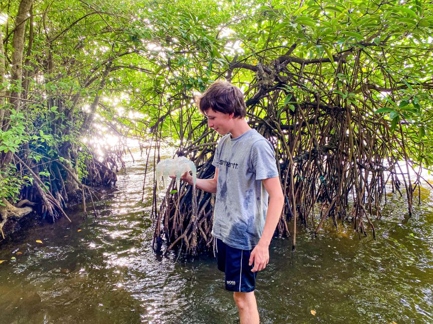 2 Best Canoe And Kayak Experiences In Negombo Lagoon